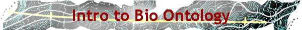 Intro to Bio Ontology